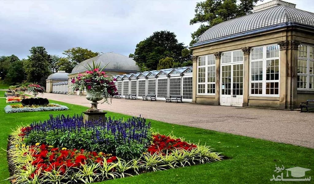 باغ گیاه شناسی شفیلد