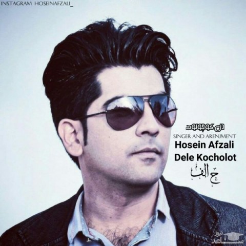 دانلود آهنگ دل کوچولوت از حسین افضلی
