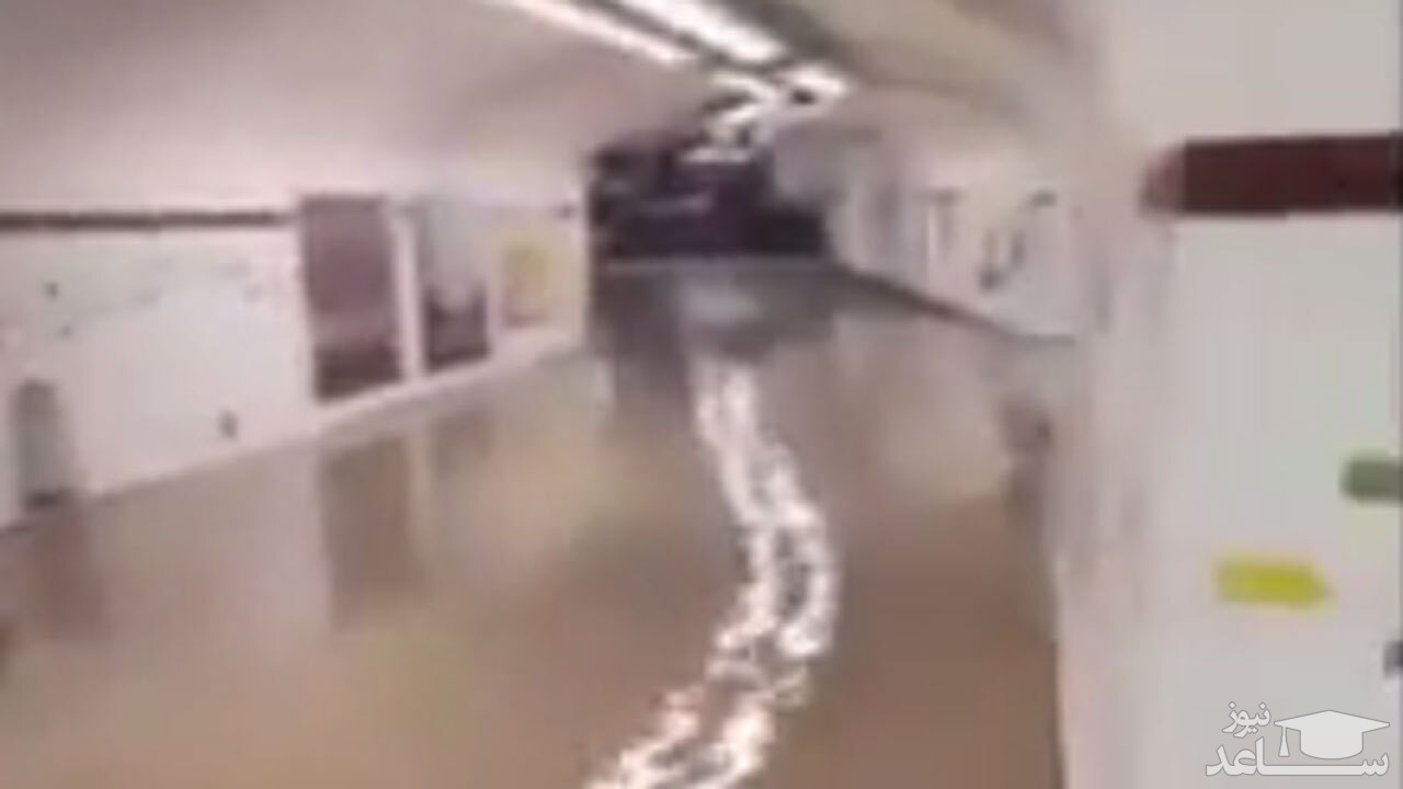(فیلم) محاصره شدن ایستگاه‌های مترو پاریس به دلیل بارش شدید باران