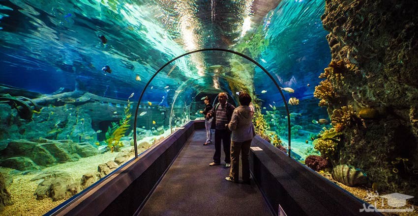 دیسکاوری ورلد آکواریوم