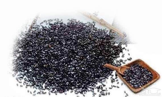 با فواید و مضرات باراهنگ بیشتر آشنا شوید