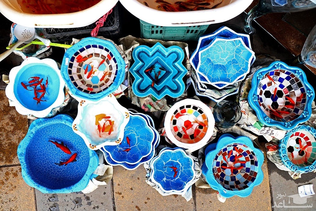 جنگ با پرتقال ، بازار در تب و تاب ماهی قرمز و ...