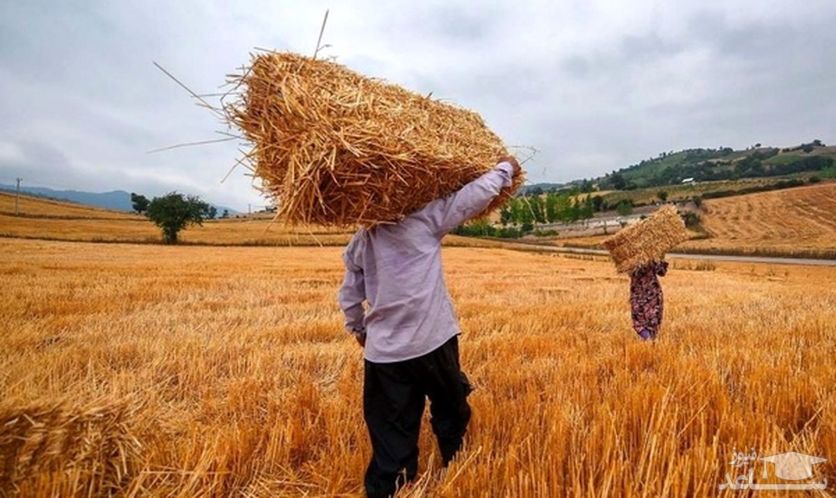 وام عالی، دست خالی