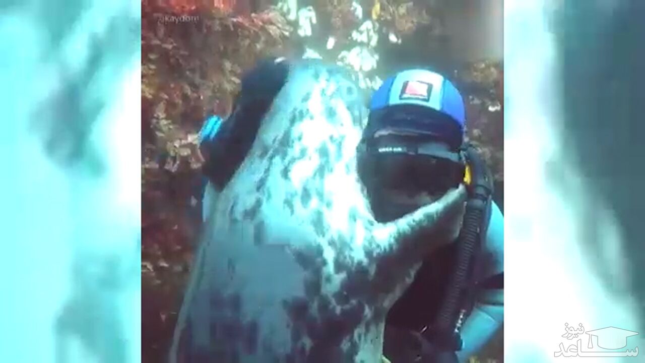 (فیلم) دوستی ۲۰ ساله فوک‌ با یک مرد