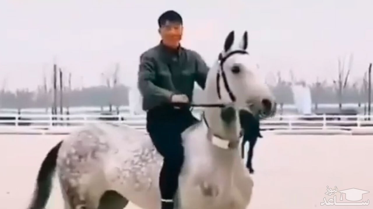 (فیلم) حرکت بی نظیر یک سوارکار برای سوار شدن بر اسب