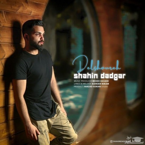 دانلود آهنگ دلشوره از شاهین دادگر