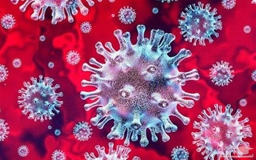 زنان باردار از ویروس کرونا نترسند