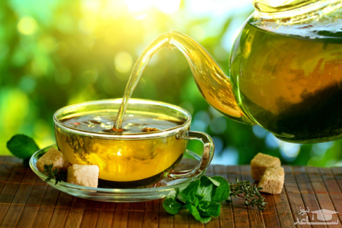 خاصیت چای سبز