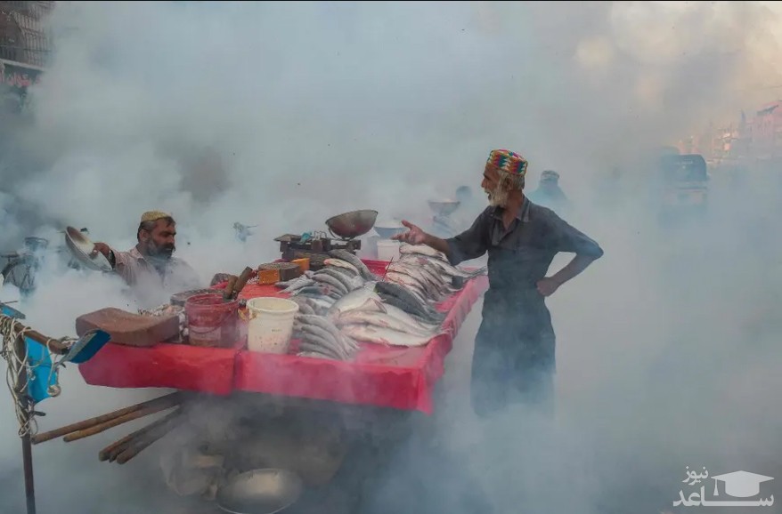 "بوخور" دادن بازار شهر کراچی پاکستان برای مبارزه با پشه های ناقل بیماری/ خبرگزاری فرانسه