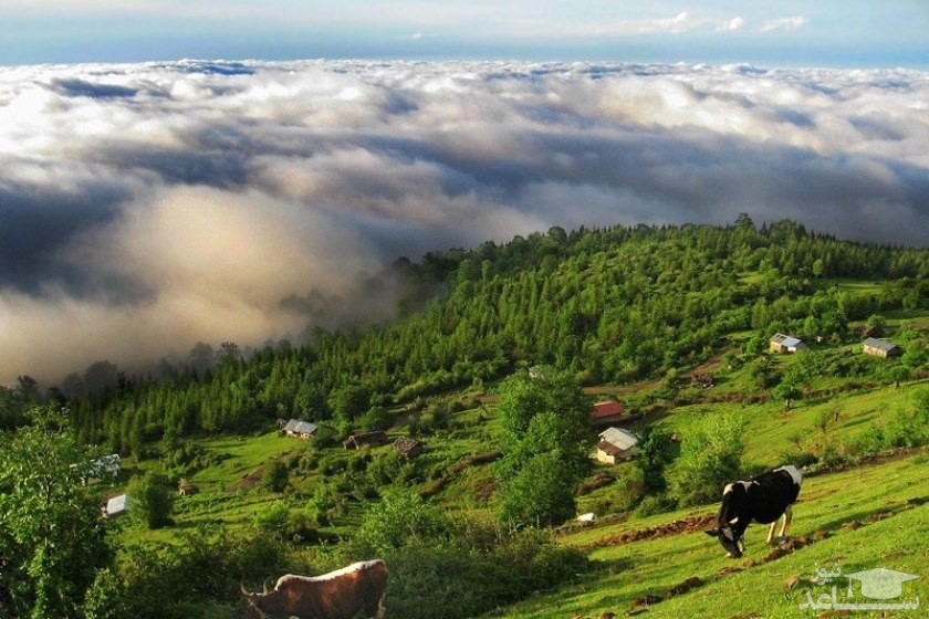 در اردیبهشت ماه به کجاها سفر کنیم؟