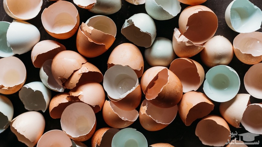 (فیلم) دستگاهی جالب برای گرفتن پوست تخم مرغ