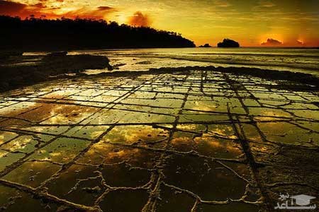 گردنه ایگل هاوک (Eaglehawk Neck)