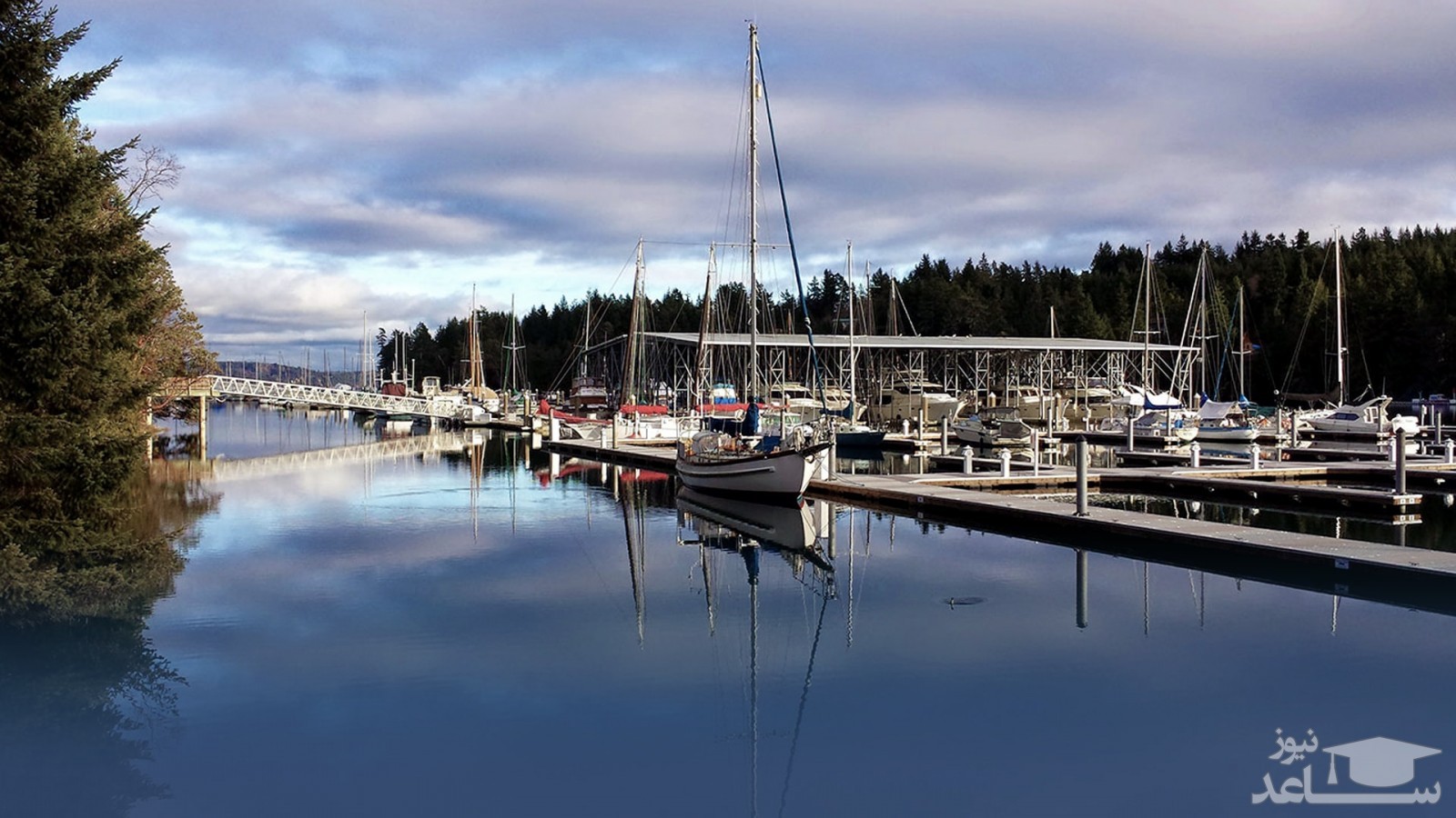 آبنمای کینگستون