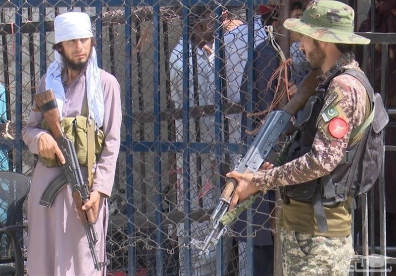 درگیری مرزی طالبان و نظامیان پاکستانی در «پکتیا»