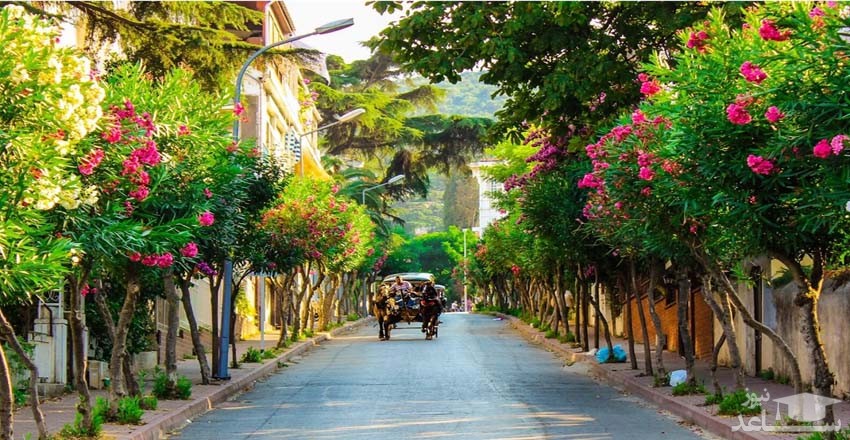 کالسکه سواری در جزیره بیوک آدا 