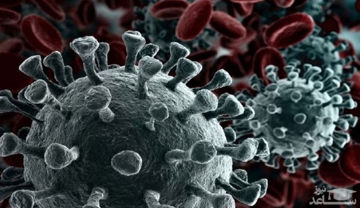 شناسایی دو نوع جدید از ویروس کرونا در آمریکا