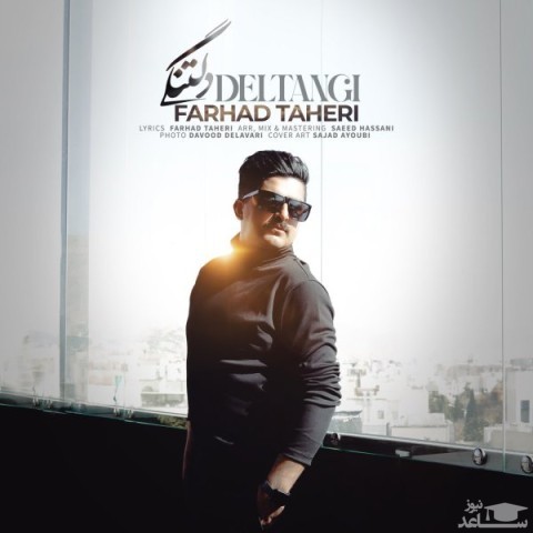 دانلود آهنگ دلتنگی از فرهاد طاهری