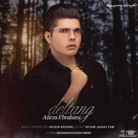دانلود آهنگ دلتنگ از علیرضا ابراهیمی