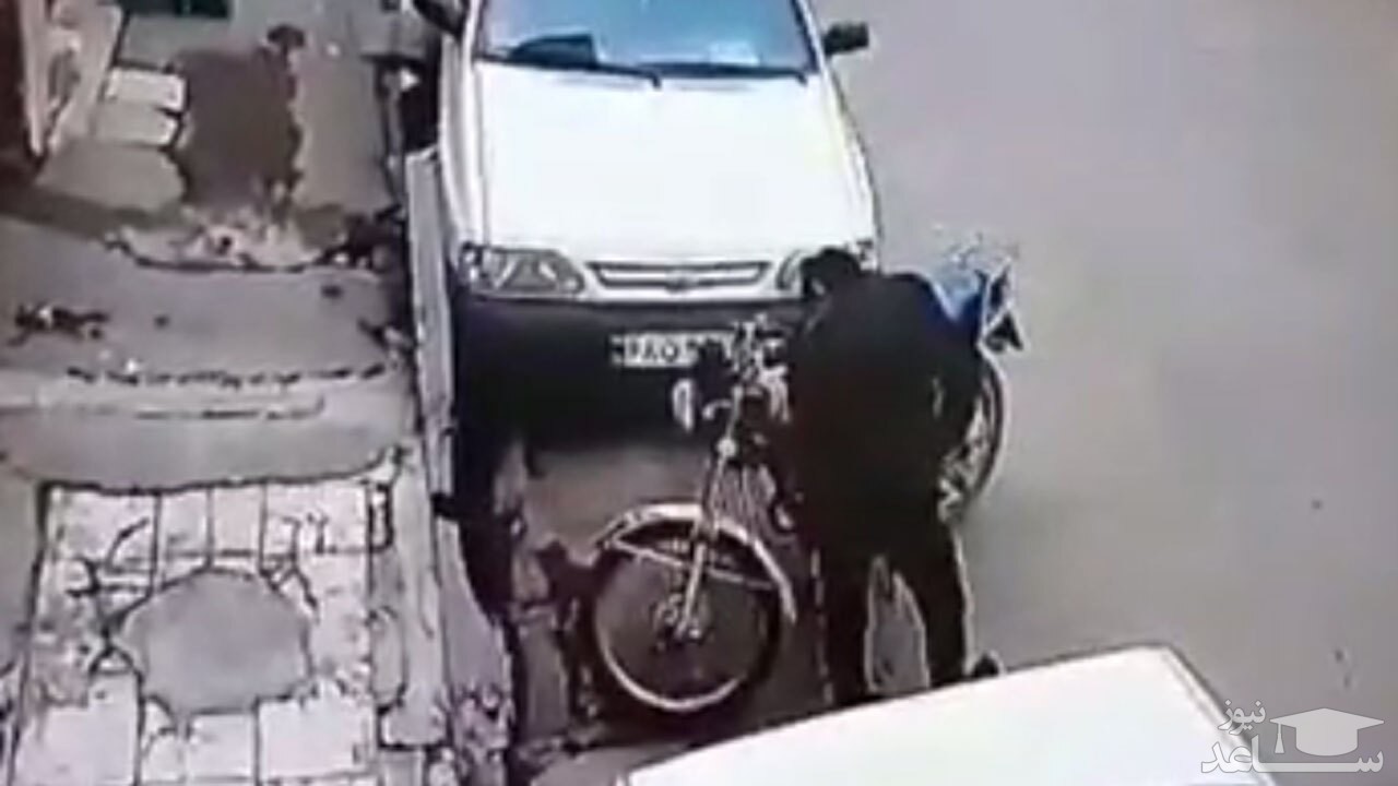 (فیلم) سرقت دیدنی یک موتور سیکلت در کمال خونسردی