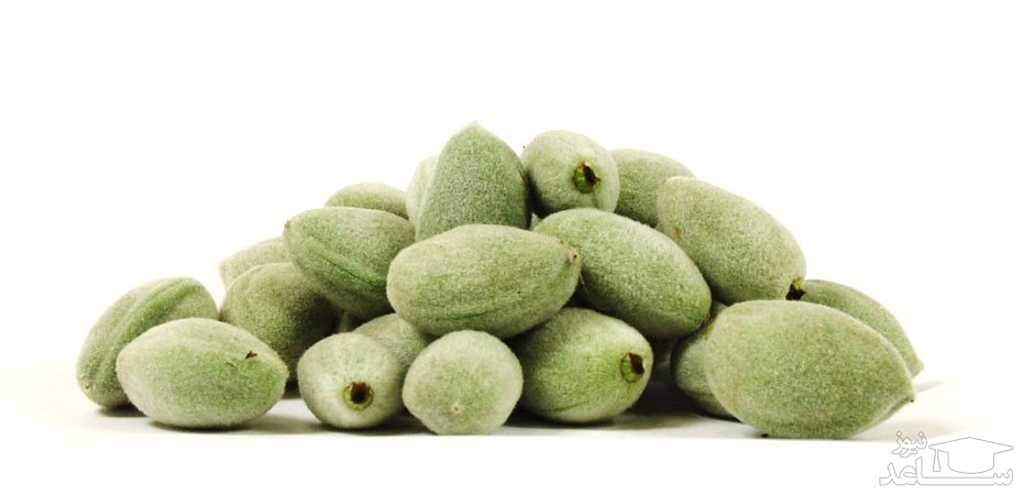 فواید و عوارض مصرف چغاله بادام در دوران بارداری