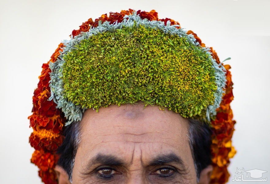 مردانی که تاج گل روی سر دارند! ، نوید بهار و ...