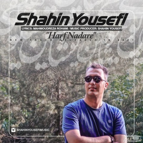 دانلود آهنگ حرف نداره از شاهین یوسفی
