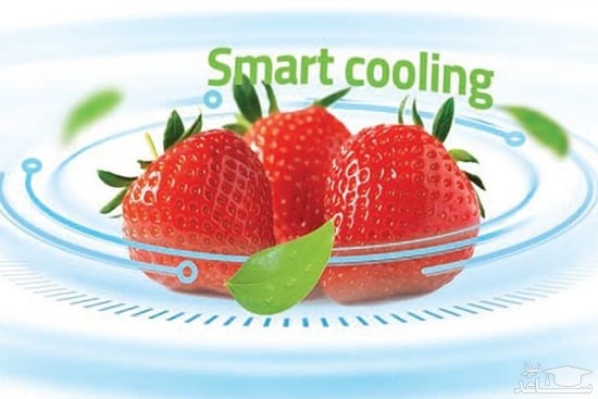 یخچال و فریزر ساید بای ساید دوو مدل D4S-2915MW