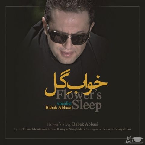 دانلود آهنگ خواب گل از بابک عباسی