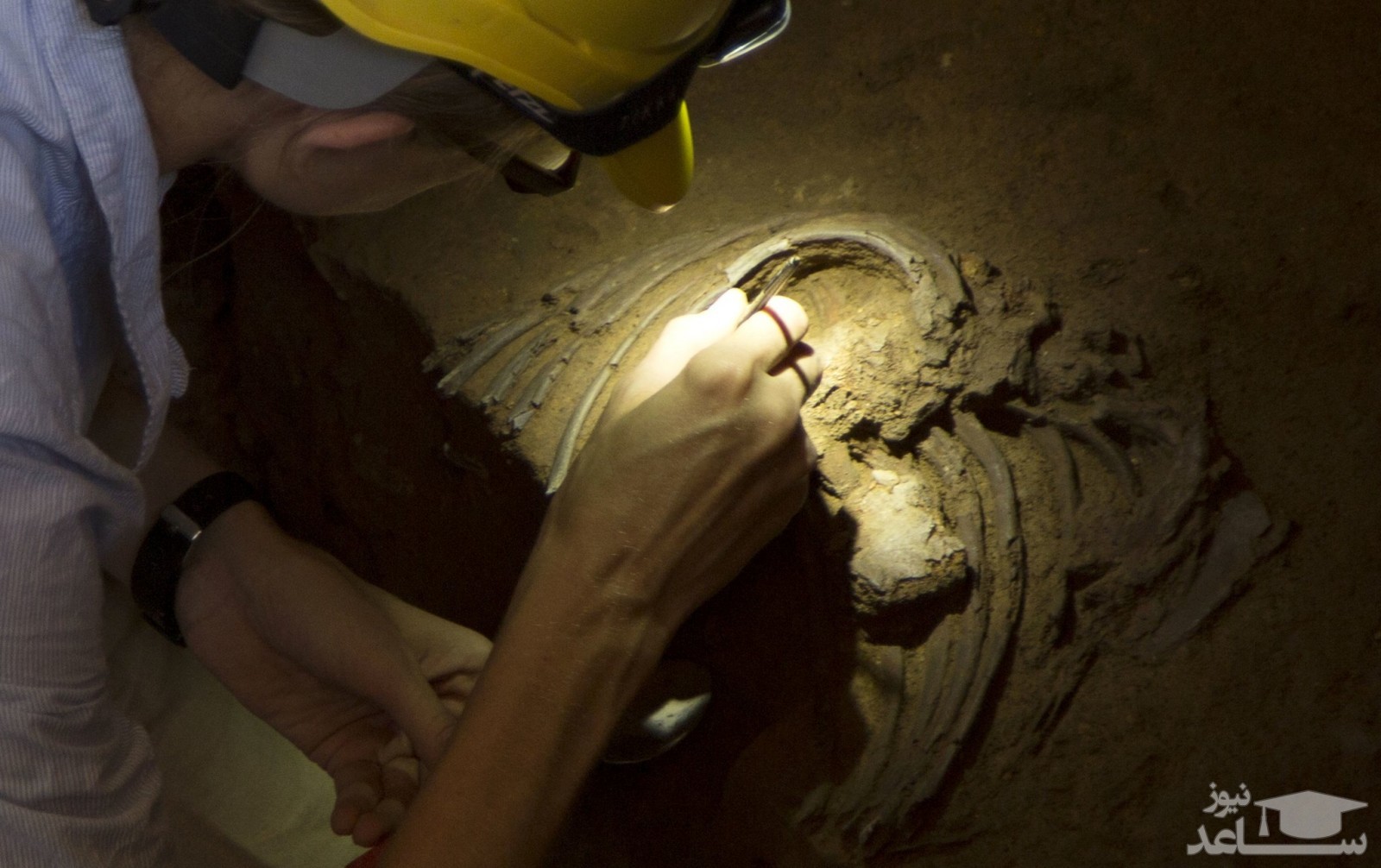 ژن چه نقشی در ابتلا به کووید-19 دارد؟