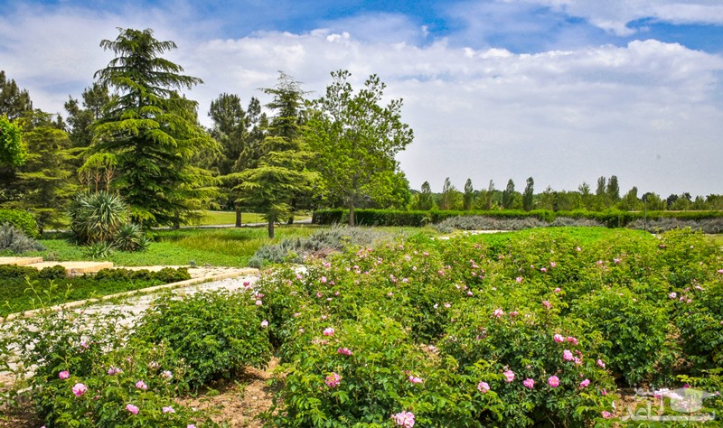 باغ گیاه شناسی ملی ایران