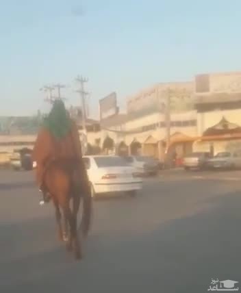 (فیلم) تردد چند نفر با اسب و لباس عربی در کازرون