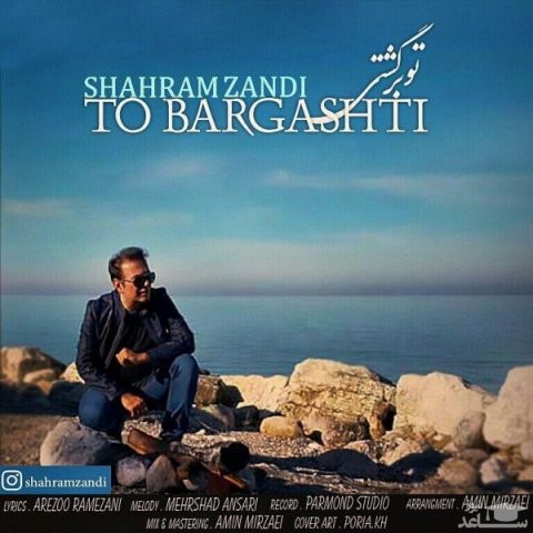 دانلود آهنگ تو برگشتی از شهرام زندی