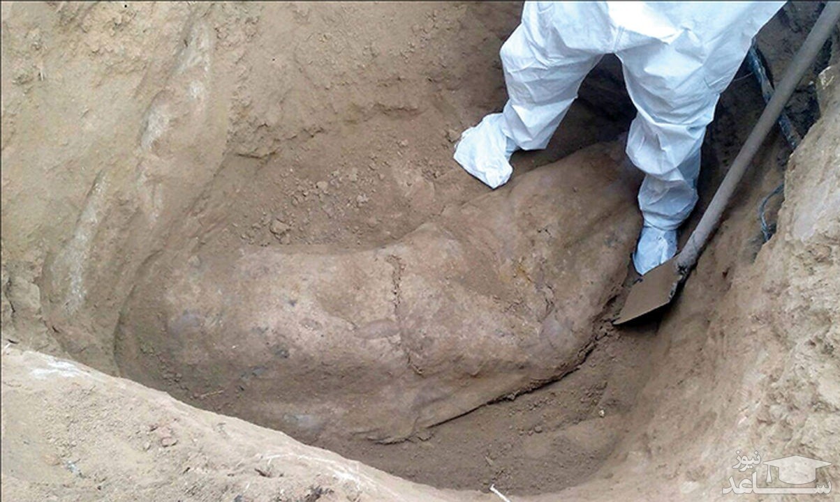 کشف 18 جسد مجهول الهویه در یک مکان