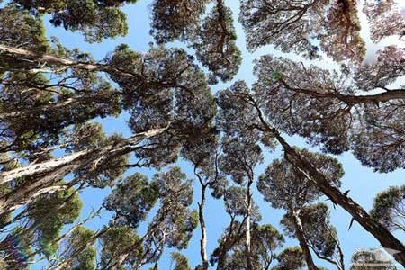  پارک ملی ناران تاپو (Narawntapu National Park)