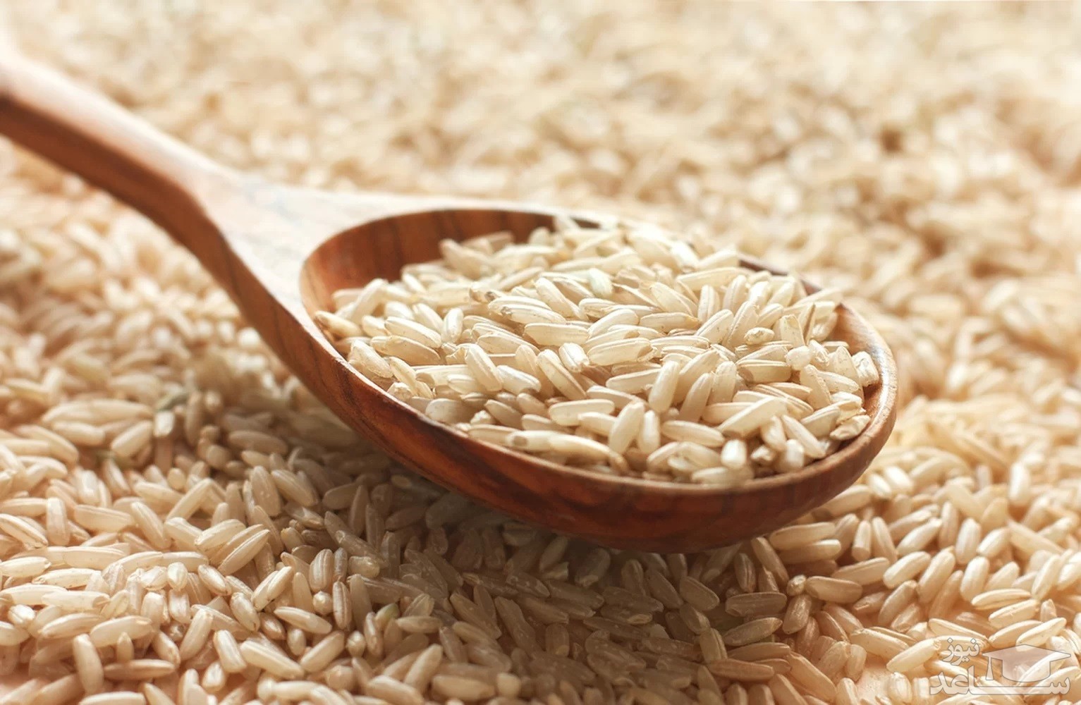30 خاصیت برنج قهوه ای و مضرات آن