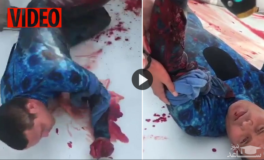 (فیلم) لحظه دلهره آور نجات غواص زخمی پس از حمله مرگبار کوسه