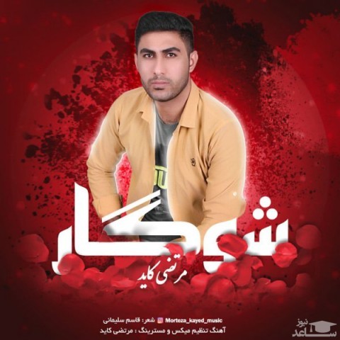 دانلود آهنگ شوگار از مرتضی کاید