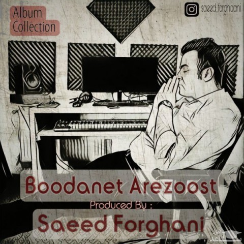 دانلود آهنگ بودنت آرزوست از سعید فرقانی