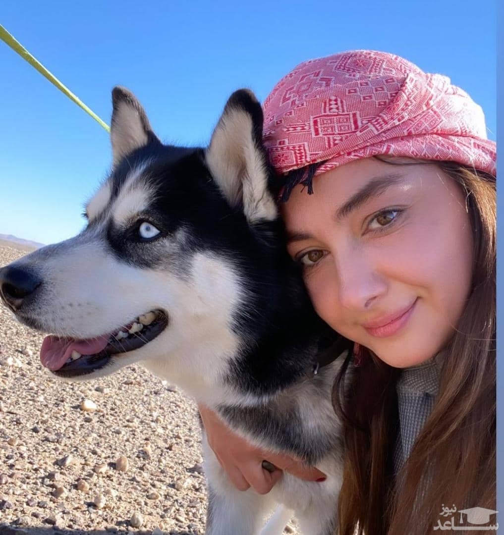 هانیه توسلی