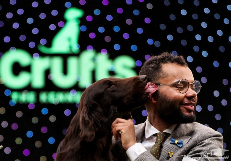 برنده مسابقه سالانه انتخاب بهترین سگ خانگی در بیرمنگام انگلیس/ رویترز