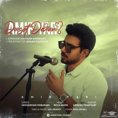 دانلود آهنگ دوست دارم از امیر یاری