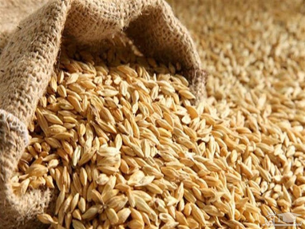 ‌قاچاق بخش اعظمی از آرد و گندم یارانه‌ای‌ به خارج کشور