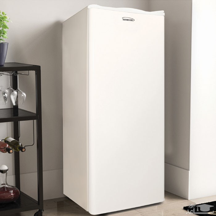 فریزر الکترواستیل مدل ESF10