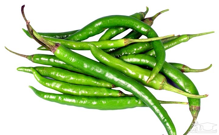 نحوه پرورش و نگهداری فلفل سبز