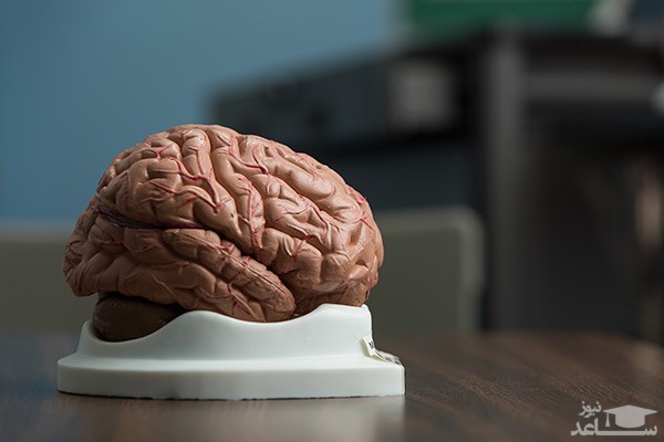 کانادا؛ بهترین کشور برای مهاجرت روانشناسان