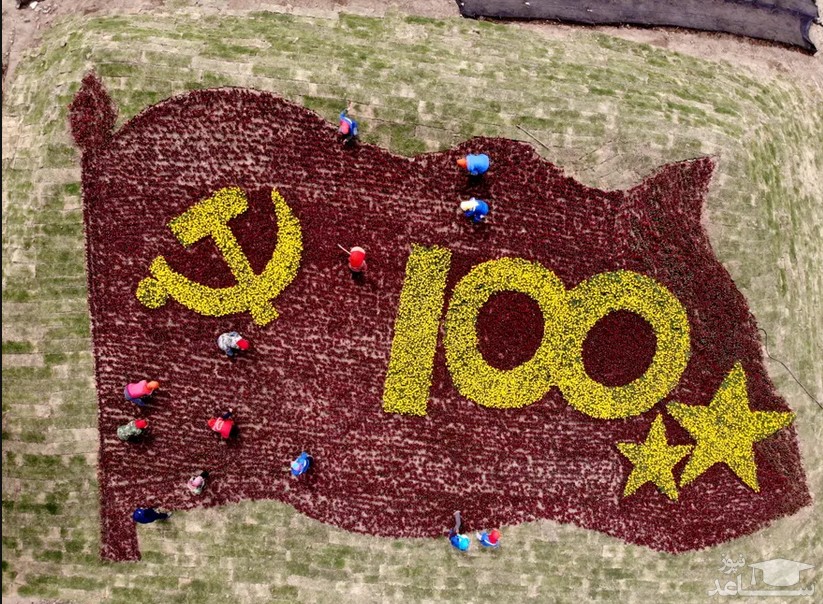 درست کردن گُلفرش به مناسبت صدمین سالگرد تاسیس حزب کمونیست چین در یک مرزعه زراعی در استان جیانگسو چین