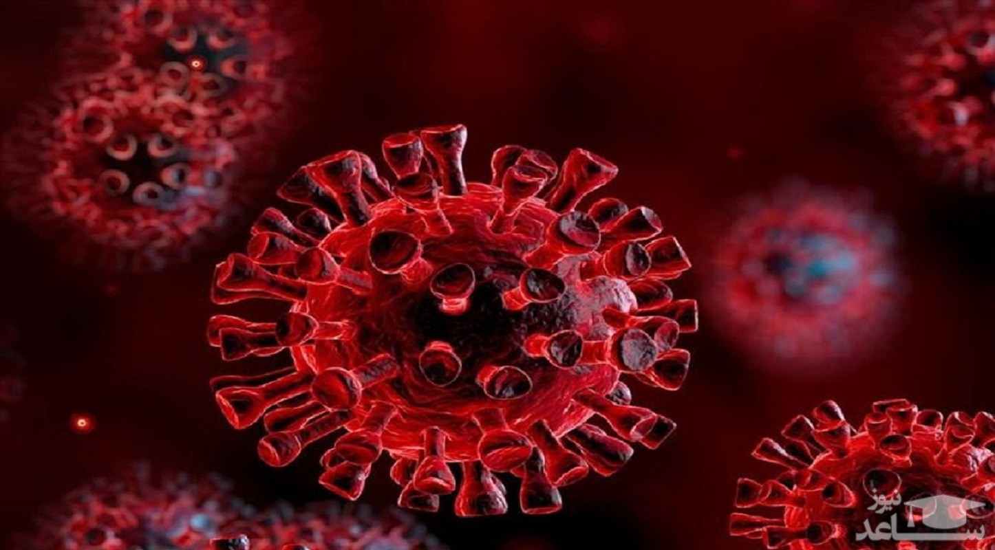 آثار مصرف داروهای ضد ایدز و واکسن «ب‌ث‌ژ» در کاهش احتمال ابتلا به کرونا