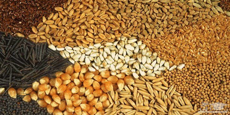 یک میلیون تن نهاده‌، یک ساعته تمام شد