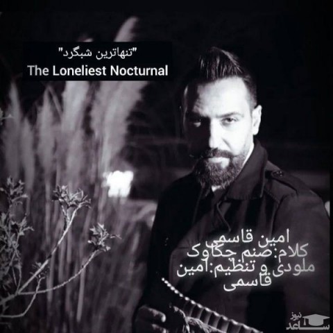 دانلود آهنگ تنها ترین شبگرد از امین قاسمی