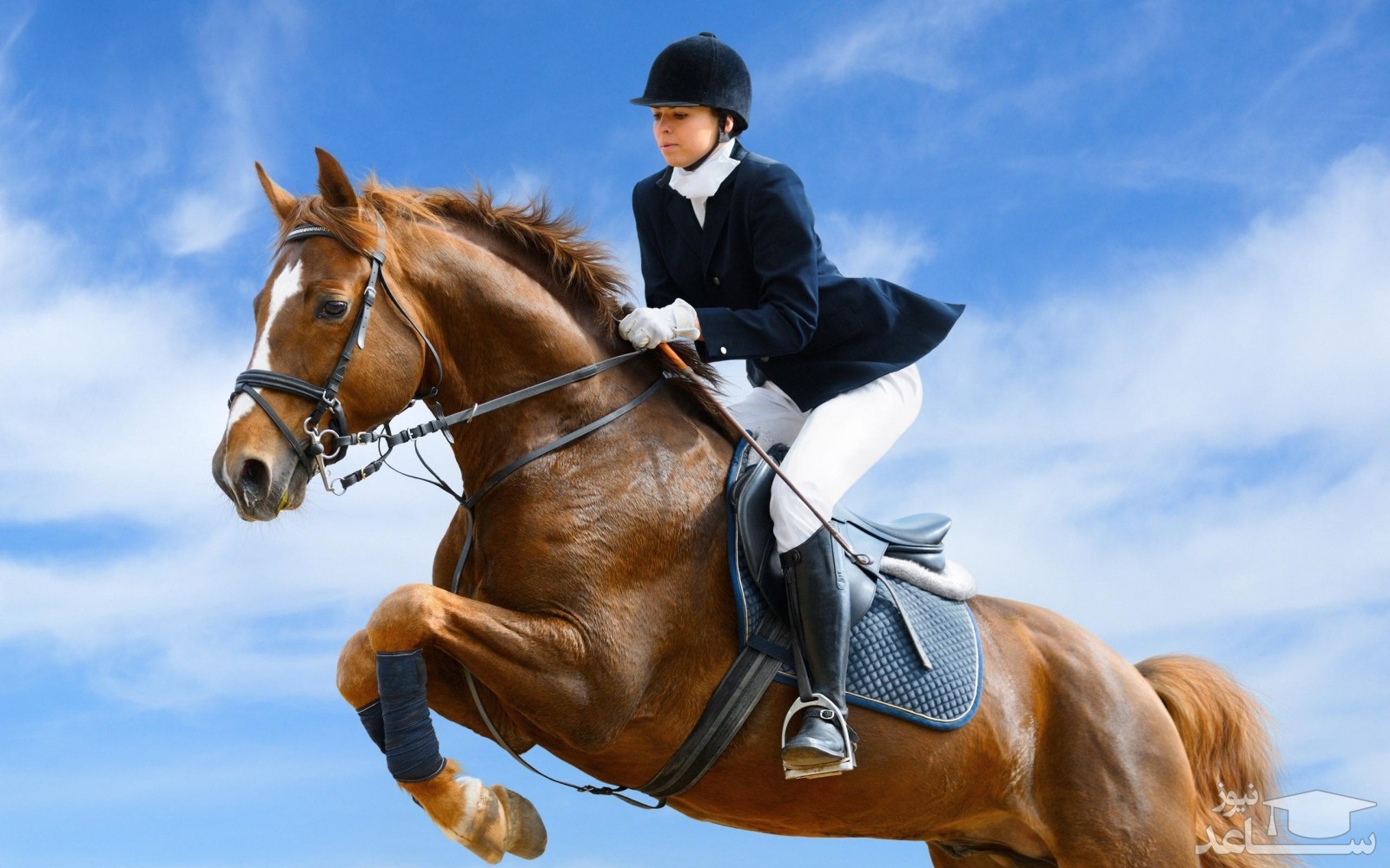 آشنایی با ورزش اسب سواری + فواید و مضرات این ورزش